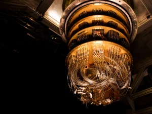 Bristlecone mix perspective ErikLucero