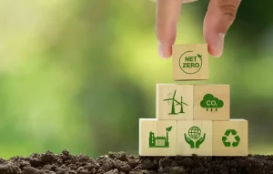 carbon credit understanding the concept its evolution and implications carbon credit understanding the concept its evolution and implications